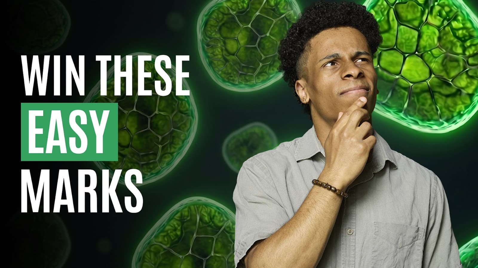 Plant tissues and organs