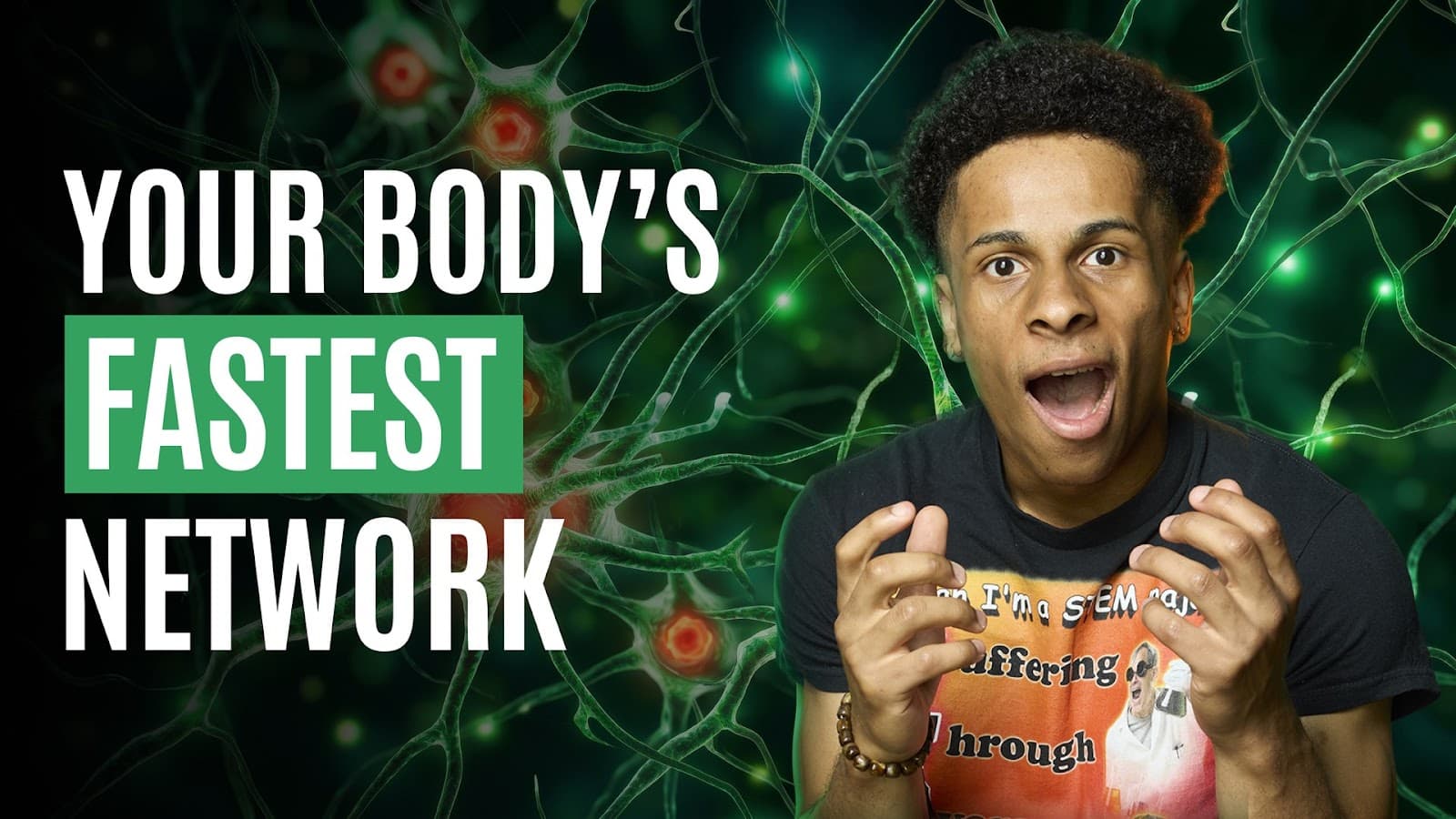 The nervous system
